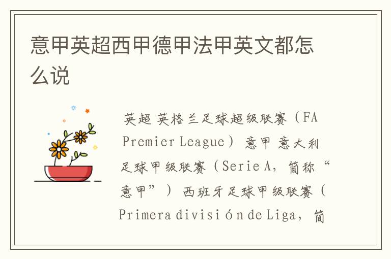 意甲英超西甲德甲法甲英文都怎么说