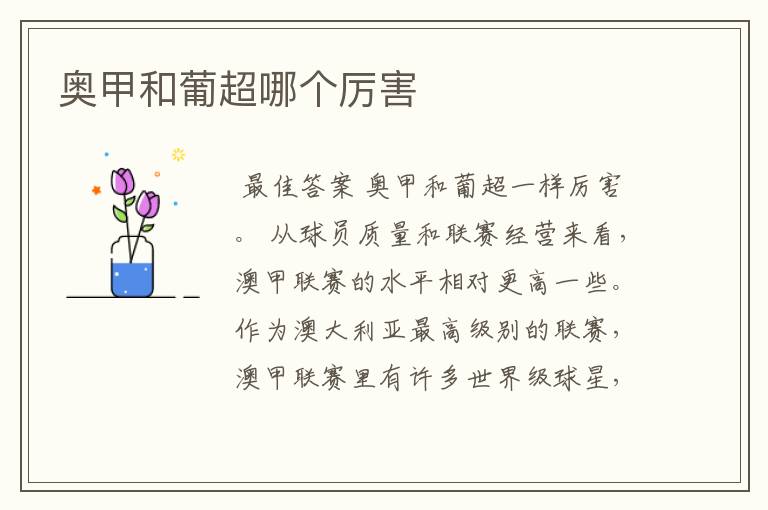 奥甲和葡超哪个厉害