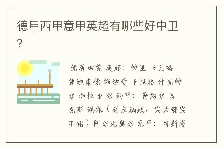 德甲西甲意甲英超有哪些好中卫?