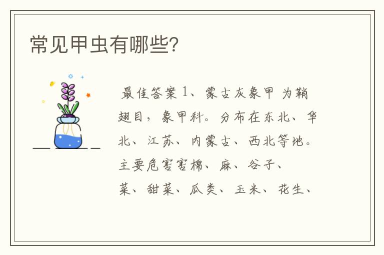 常见甲虫有哪些?