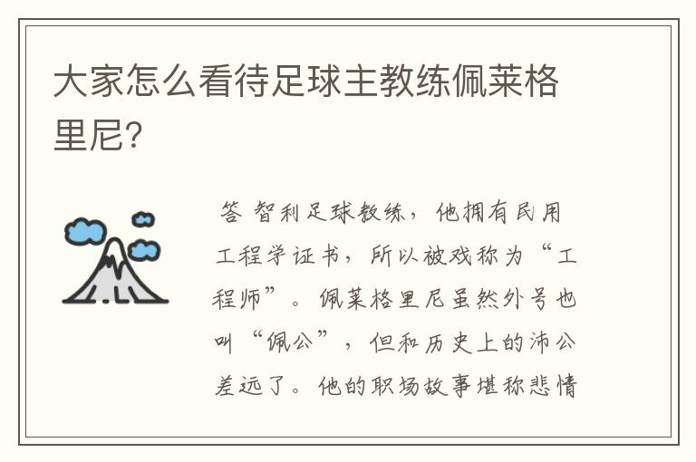 大家怎么看待足球主教练佩莱格里尼?