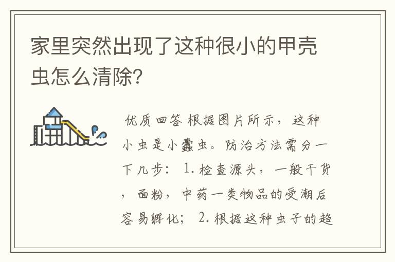 家里突然出现了这种很小的甲壳虫怎么清除?