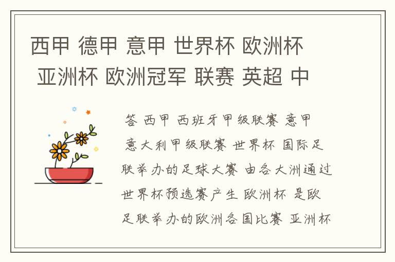 西甲 德甲 意甲 世界杯 欧洲杯 亚洲杯 欧洲冠军 联赛 英超 中超 分别是什么意思啊?