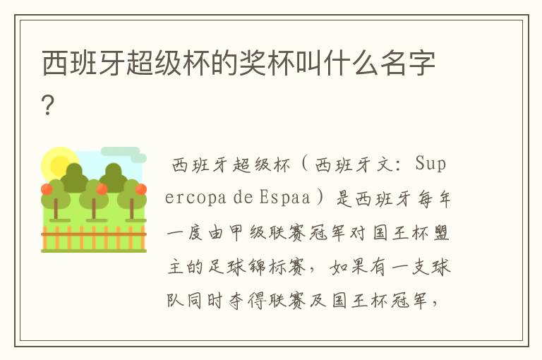 西班牙超级杯的奖杯叫什么名字?