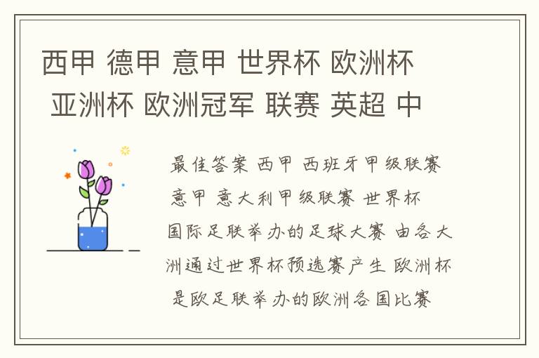 西甲 德甲 意甲 世界杯 欧洲杯 亚洲杯 欧洲冠军 联赛 英超 中超 分别是什么意思啊?