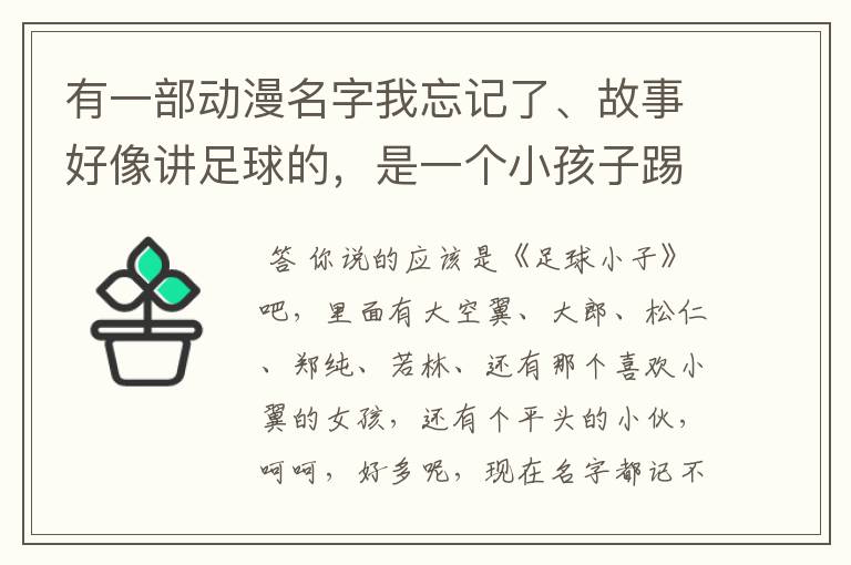 有一部动漫名字我忘记了、故事好像讲足球的,是一个小孩子踢得很厉害,跟其他伙伴一起玩足球