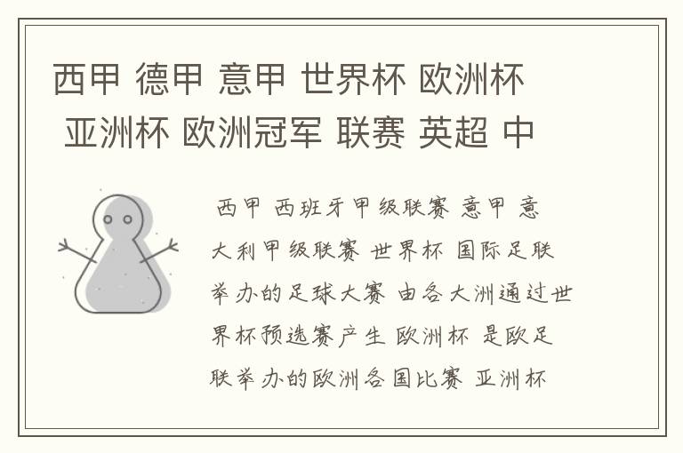 西甲 德甲 意甲 世界杯 欧洲杯 亚洲杯 欧洲冠军 联赛 英超 中超 分别是什么意思啊?