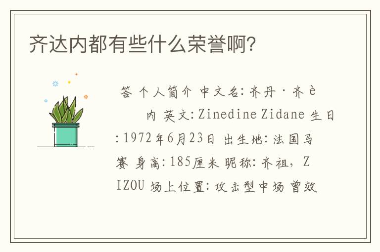 齐达内都有些什么荣誉啊?