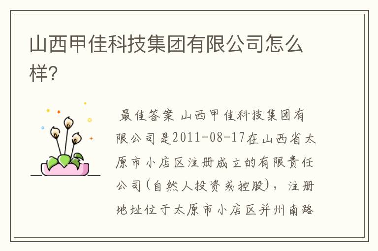 山西甲佳科技集团有限公司怎么样?