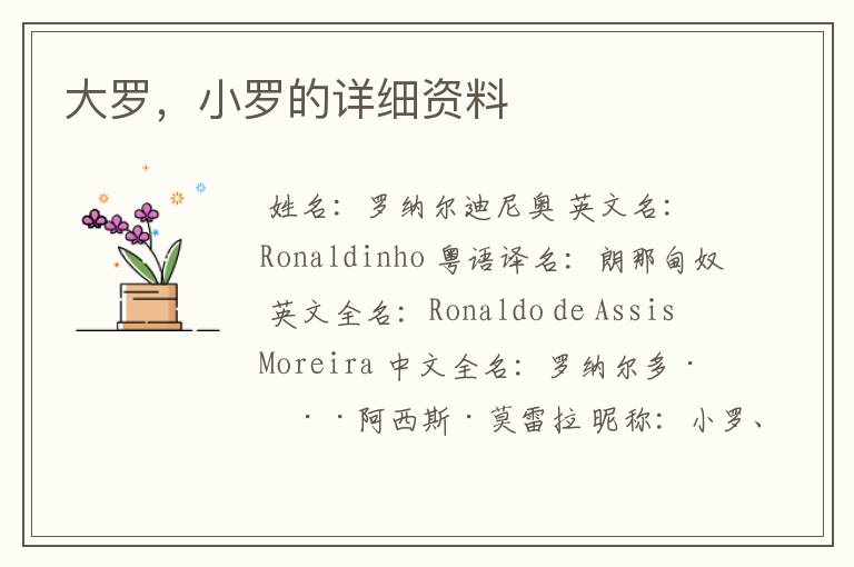 大罗,小罗的详细资料