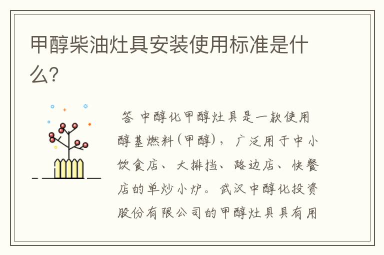 甲醇柴油灶具安装使用标准是什么?