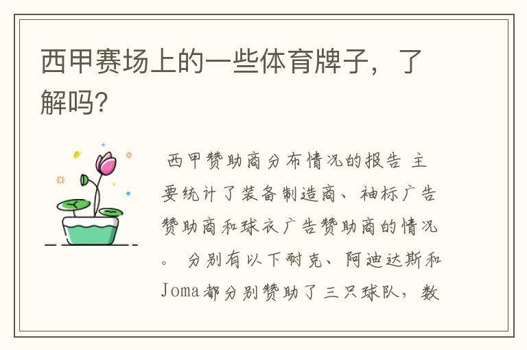 西甲赛场上的一些体育牌子,了解吗?