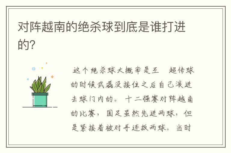 对阵越南的绝杀球到底是谁打进的?