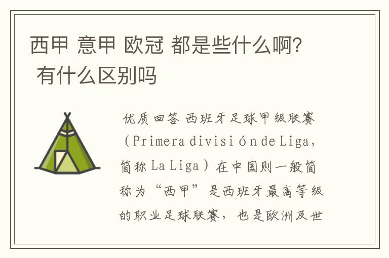 西甲 意甲 欧冠 都是些什么啊? 有什么区别吗