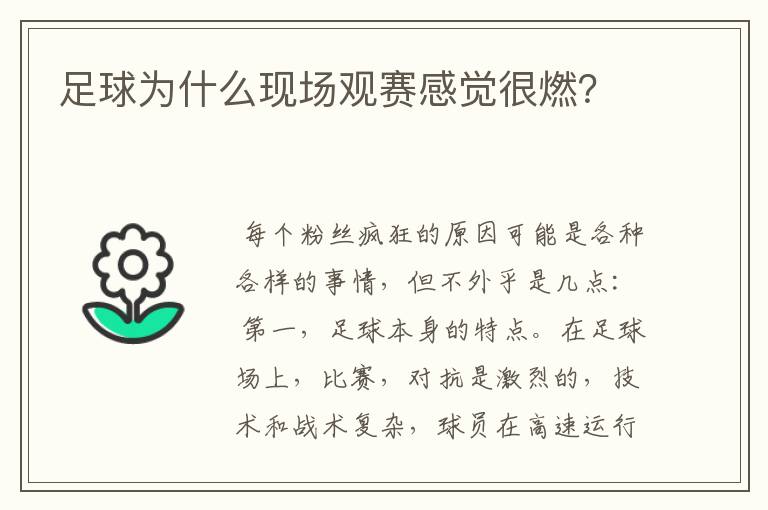 足球为什么现场观赛感觉很燃?