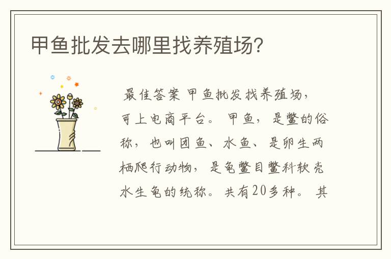 甲鱼批发去哪里找养殖场?