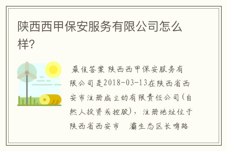 陕西西甲保安服务有限公司怎么样?