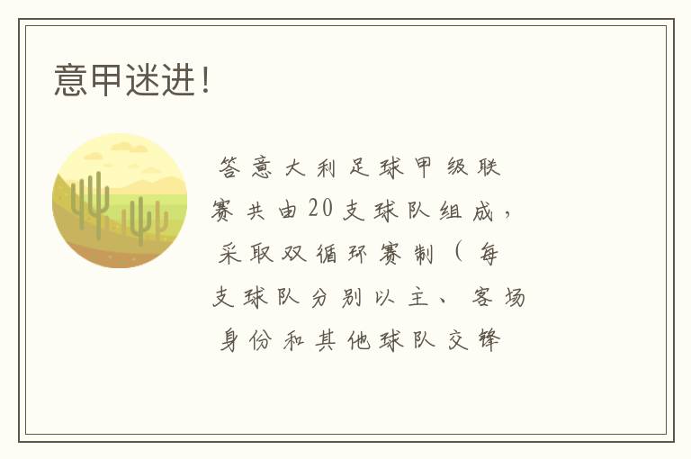 意甲迷进!
