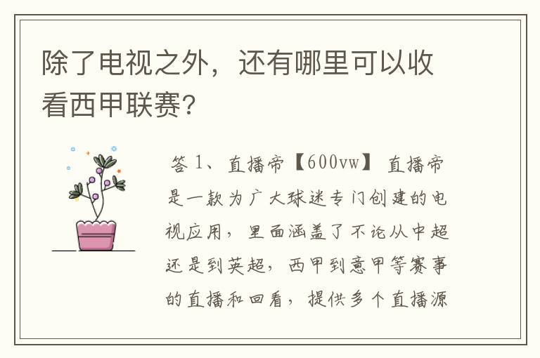 除了电视之外,还有哪里可以收看西甲联赛?