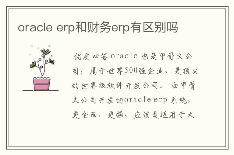 oracle erp和财务erp有区别吗
