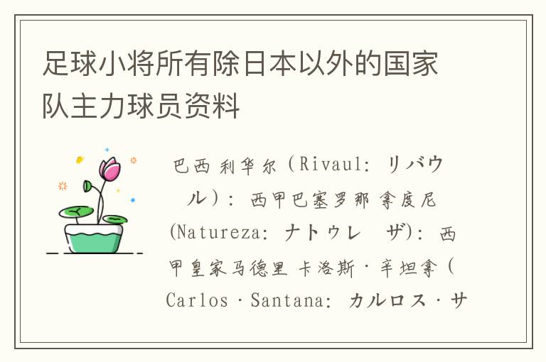 足球小将所有除日本以外的国家队主力球员资料