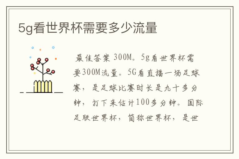 5g看世界杯需要多少流量
