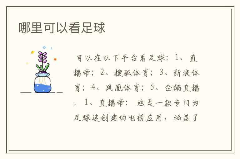 哪里可以看足球
