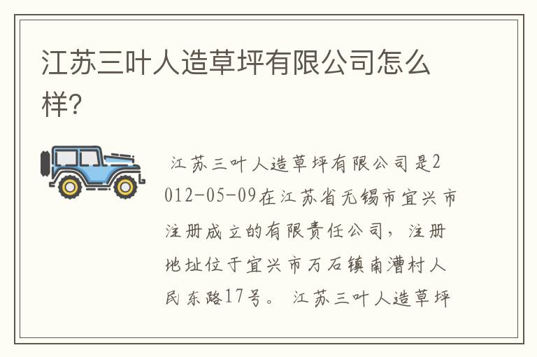 江苏三叶人造草坪有限公司怎么样？