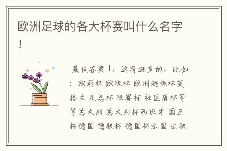 欧洲足球的各大杯赛叫什么名字!