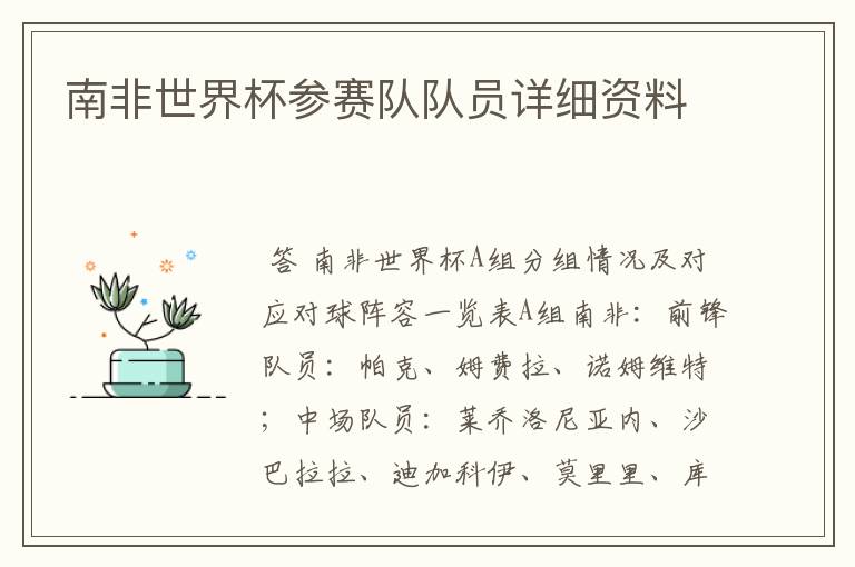 南非世界杯参赛队队员详细资料