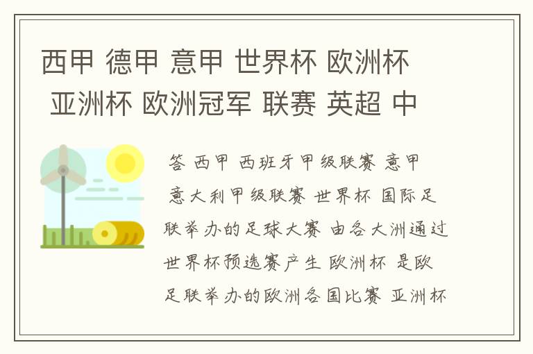 西甲 德甲 意甲 世界杯 欧洲杯 亚洲杯 欧洲冠军 联赛 英超 中超 分别是什么意思啊?