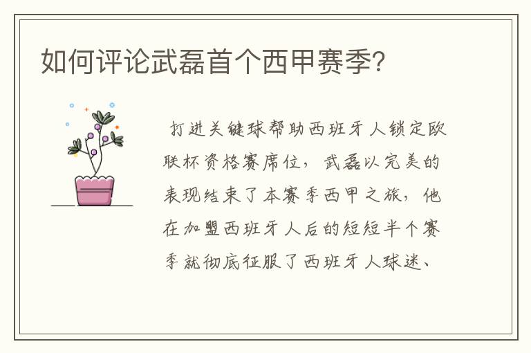 如何评论武磊首个西甲赛季?