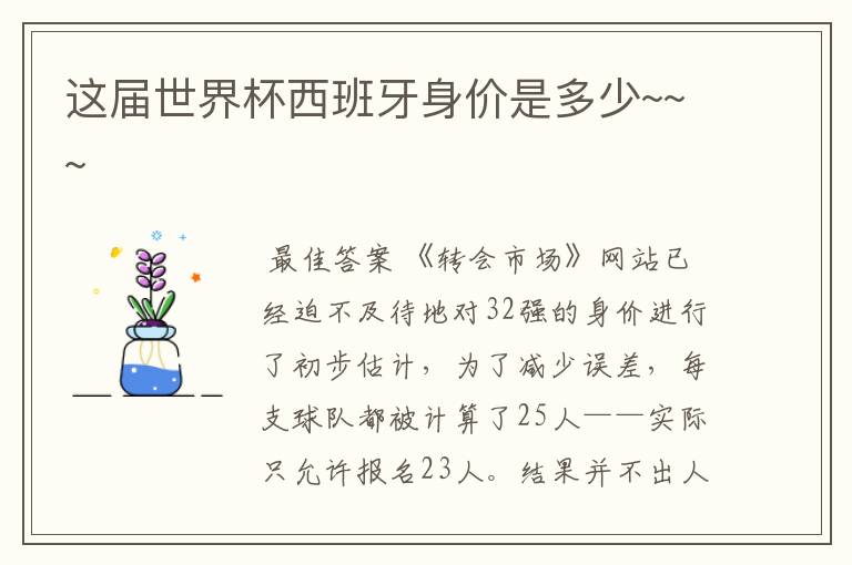这届世界杯西班牙身价是多少~~~