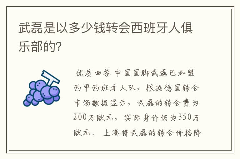 武磊是以多少钱转会西班牙人俱乐部的?
