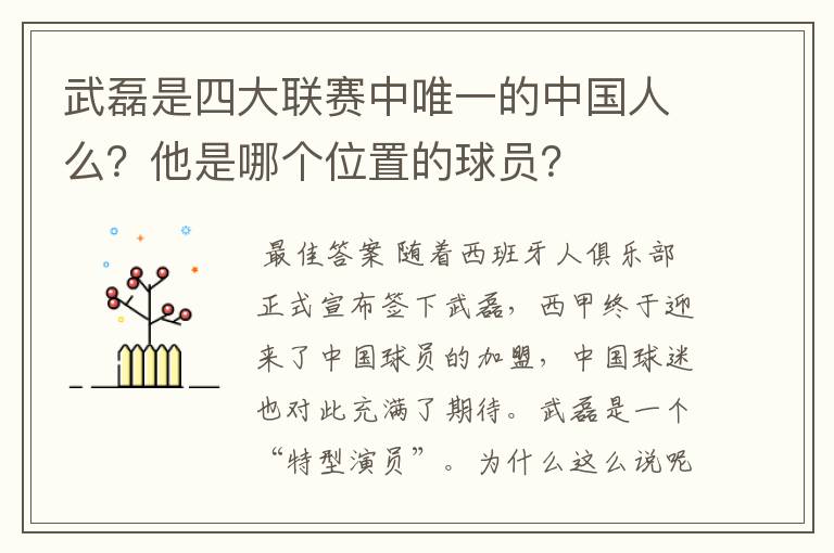 武磊是四大联赛中唯一的中国人么?他是哪个位置的球员?