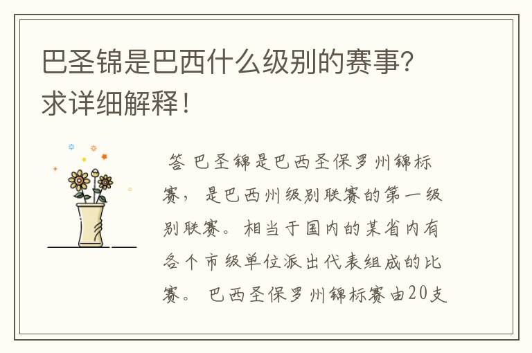 巴圣锦是巴西什么级别的赛事?求详细解释!