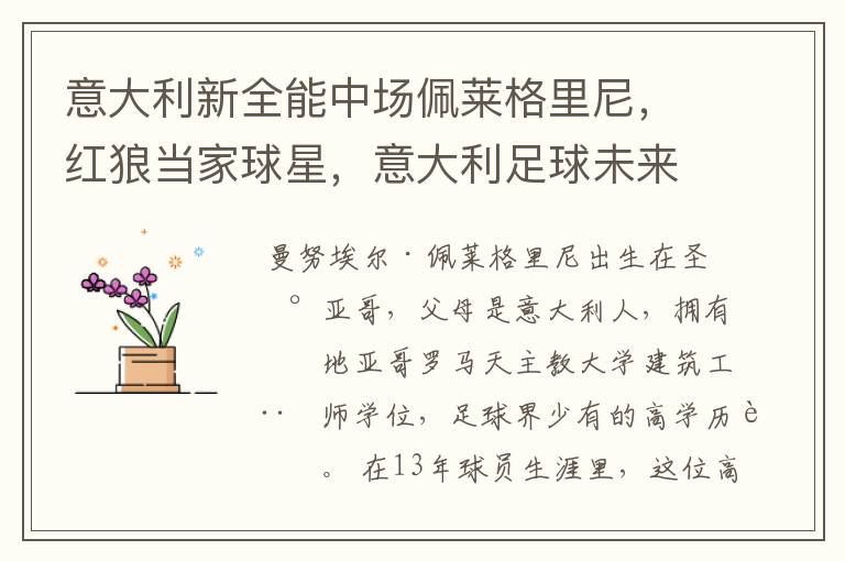 意大利新全能中场佩莱格里尼,红狼当家球星,意大利足球未来可期