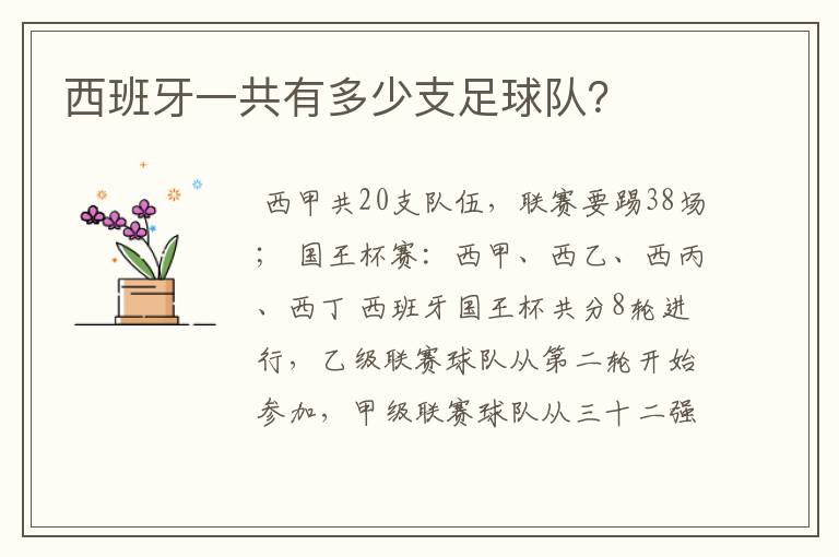 西班牙一共有多少支足球队?