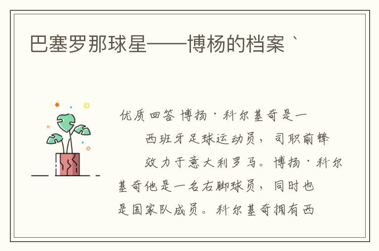 巴塞罗那球星——博杨的档案 `