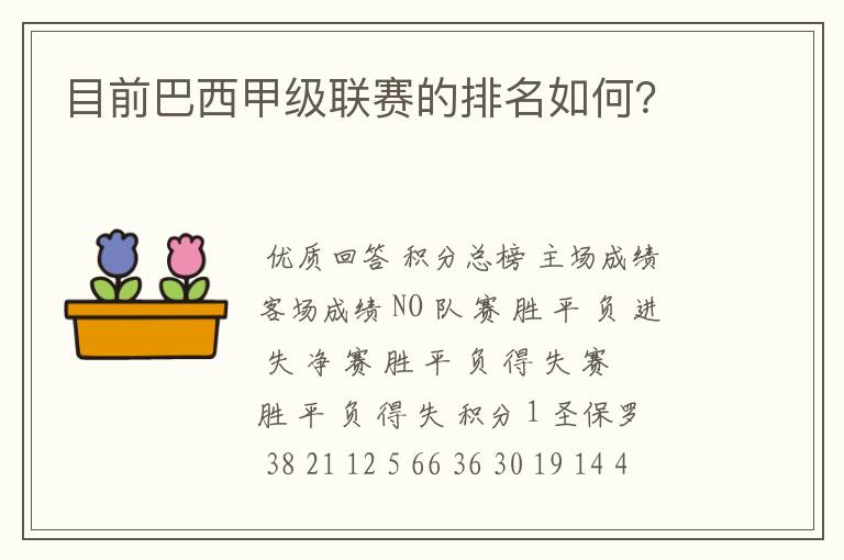 目前巴西甲级联赛的排名如何?