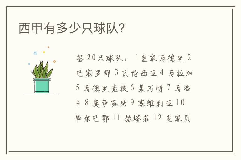 西甲有多少只球队?