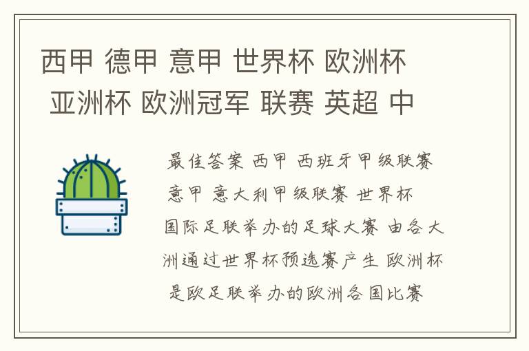 西甲 德甲 意甲 世界杯 欧洲杯 亚洲杯 欧洲冠军 联赛 英超 中超 分别是什么意思啊?