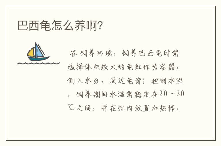 巴西龟怎么养啊?