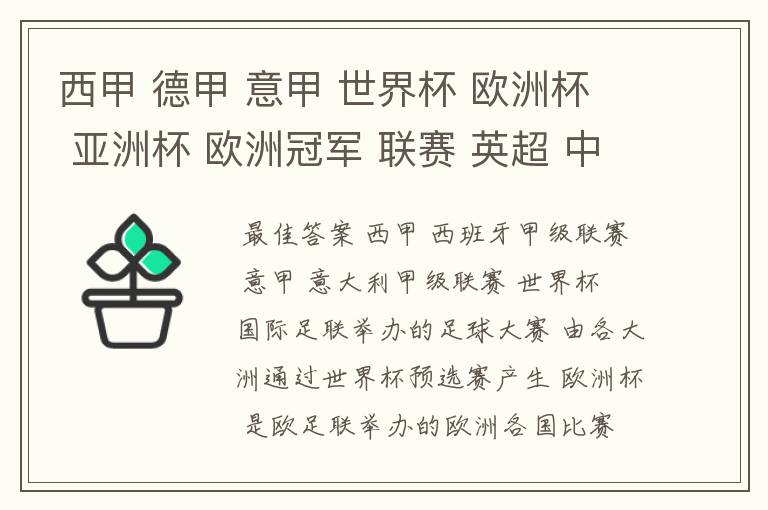 西甲 德甲 意甲 世界杯 欧洲杯 亚洲杯 欧洲冠军 联赛 英超 中超 分别是什么意思啊?
