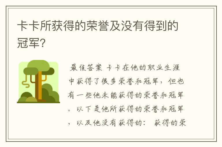 卡卡所获得的荣誉及没有得到的冠军?
