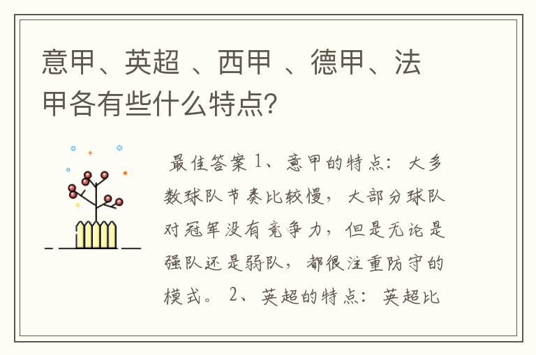 意甲、英超 、西甲 、德甲、法甲各有些什么特点?