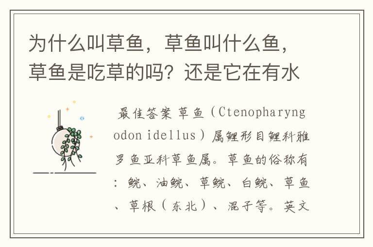 为什么叫草鱼,草鱼叫什么鱼,草鱼是吃草的吗?还是它在有水草的地方生存呢