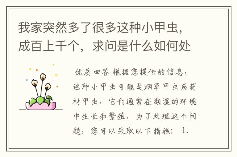 我家突然多了很多这种小甲虫，成百上千个，求问是什么如何处理