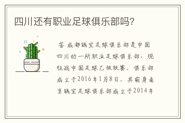 四川还有职业足球俱乐部吗?