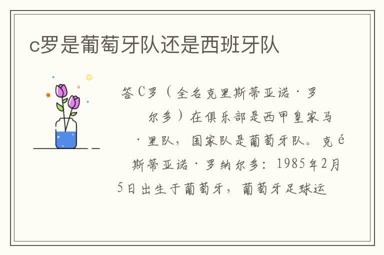 c罗是葡萄牙队还是西班牙队